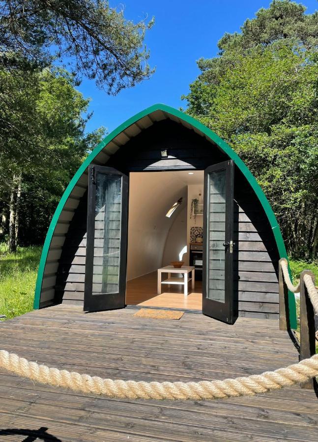 Nightjar Cabin At Cloudshill Glade Wareham Exterior foto
